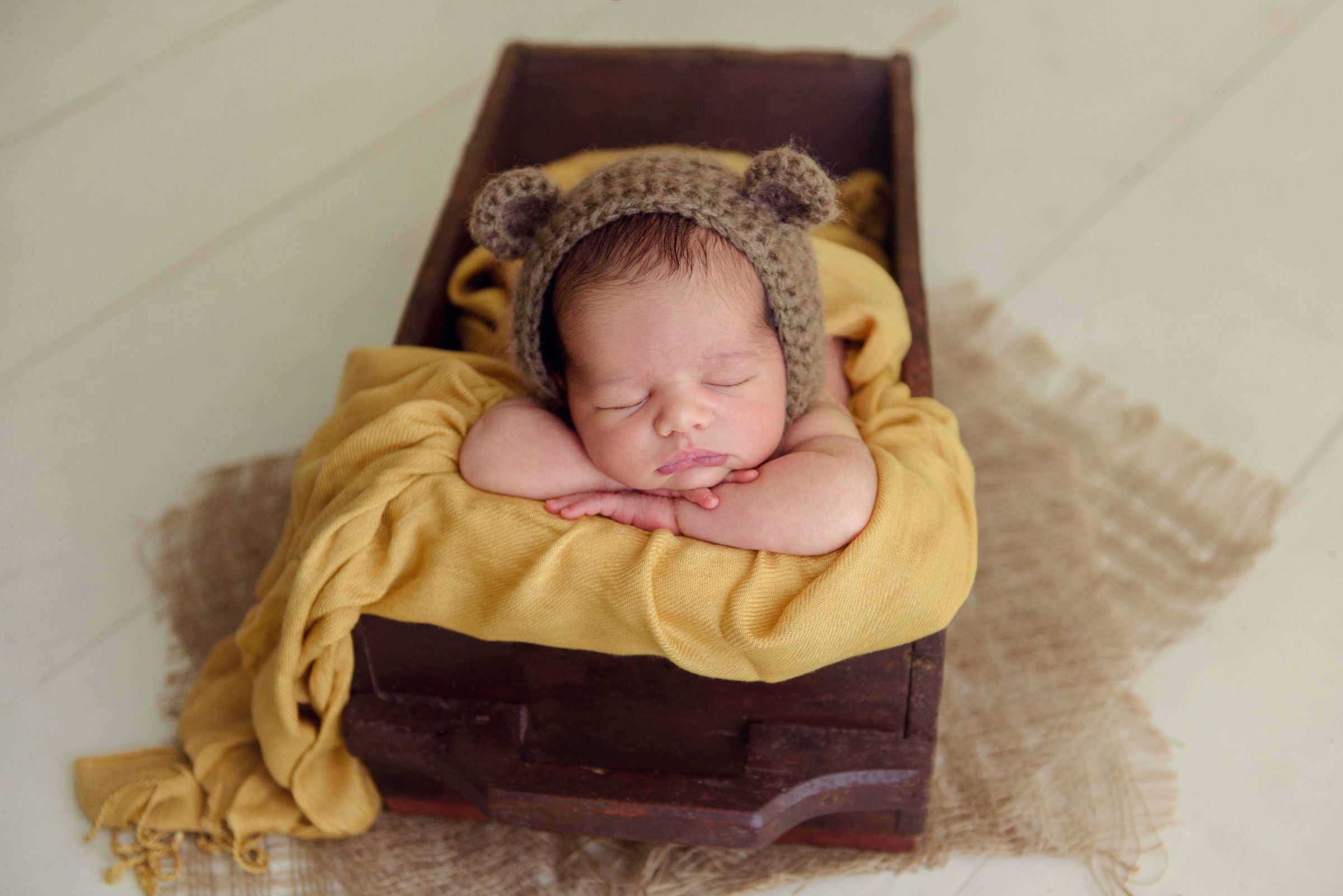 Foto de C&eacute;lia Lopes 27