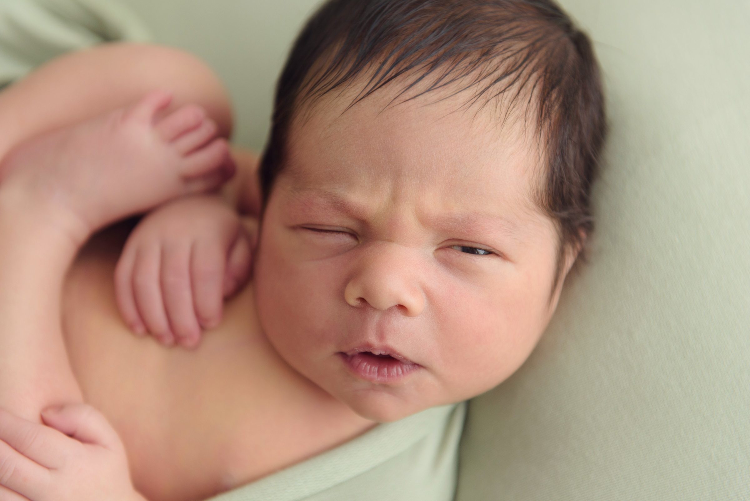 Foto de C&eacute;lia Lopes 25