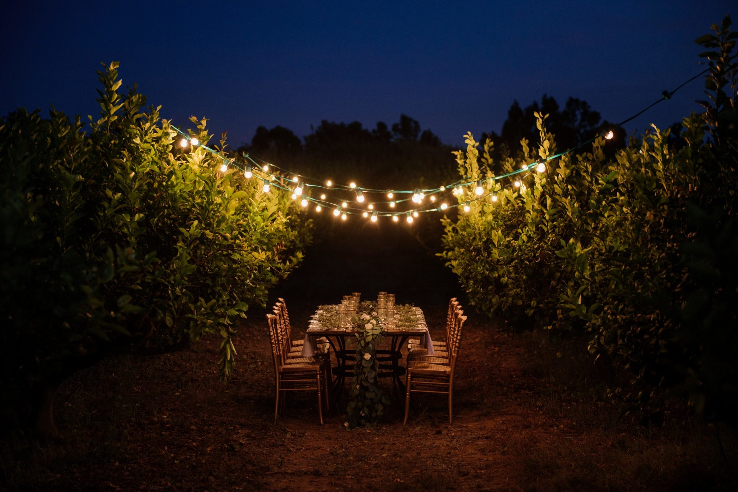 Foto de C&eacute;lia Lopes 10