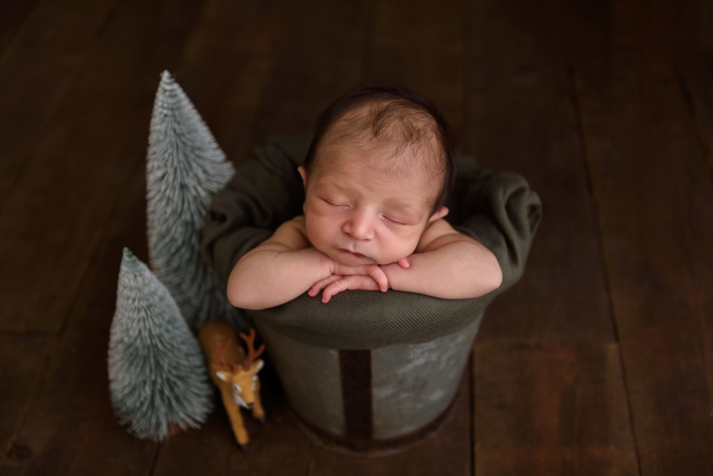 Foto de C&eacute;lia Lopes 12