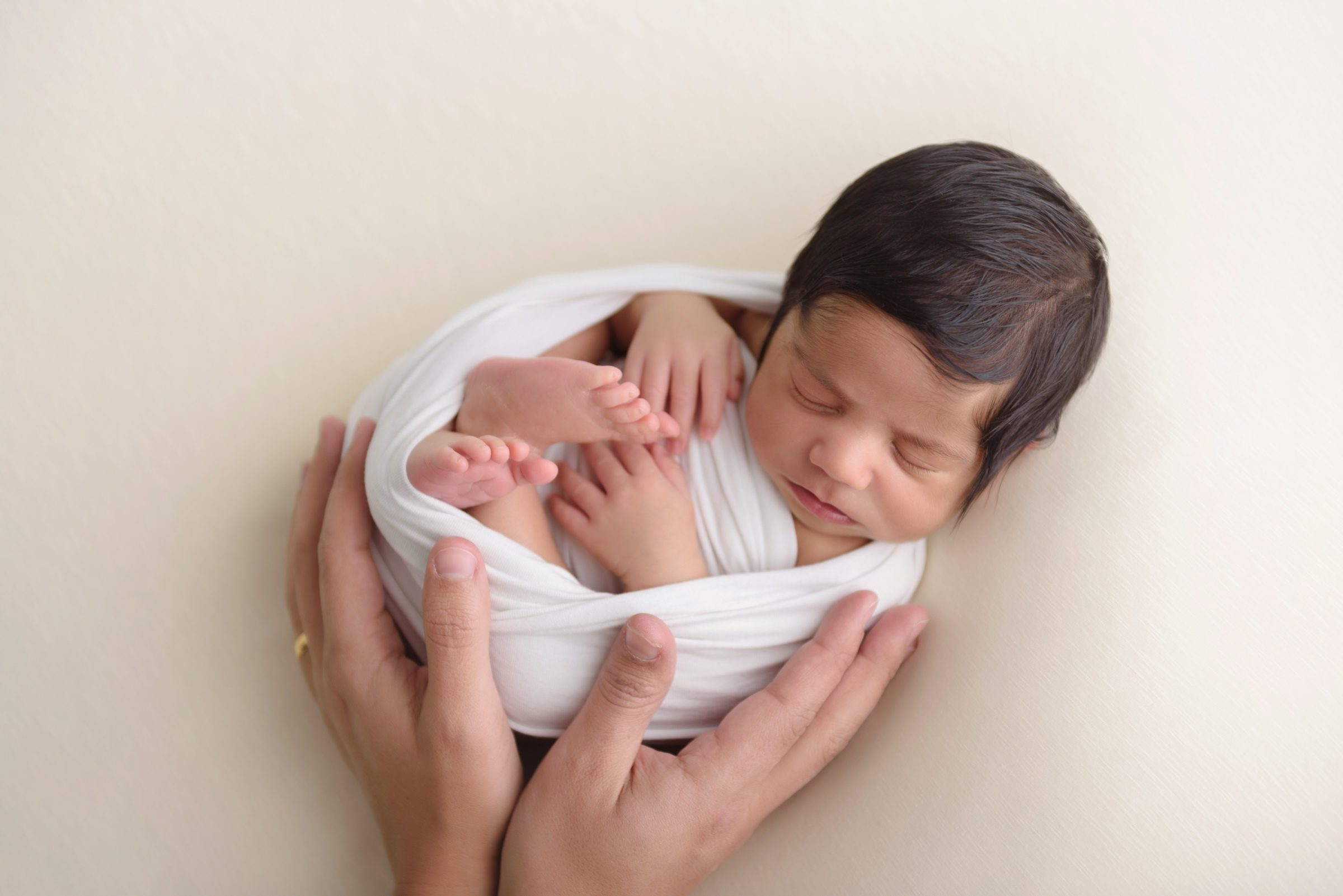 Foto de C&eacute;lia Lopes 0