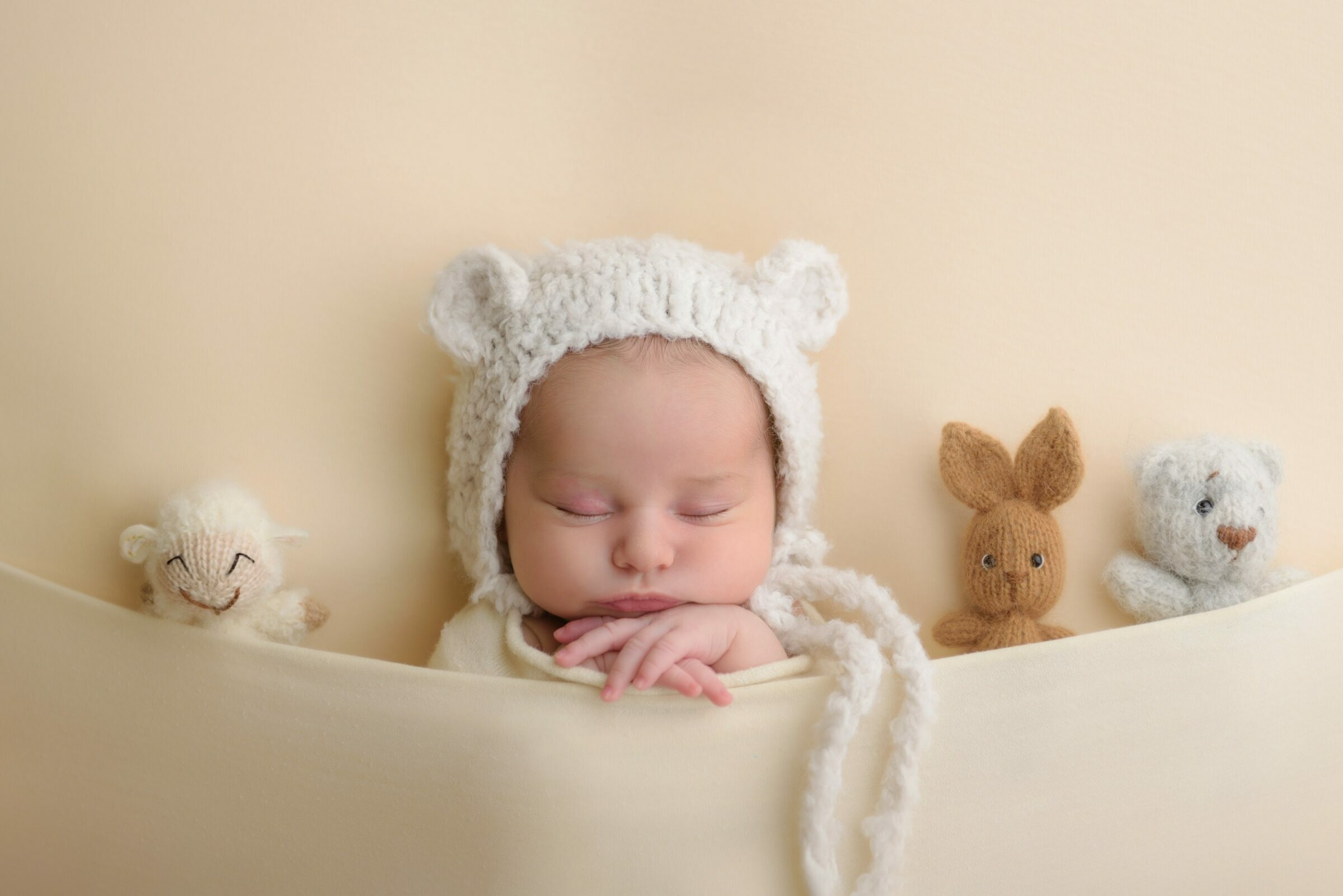 Foto de C&eacute;lia Lopes 6